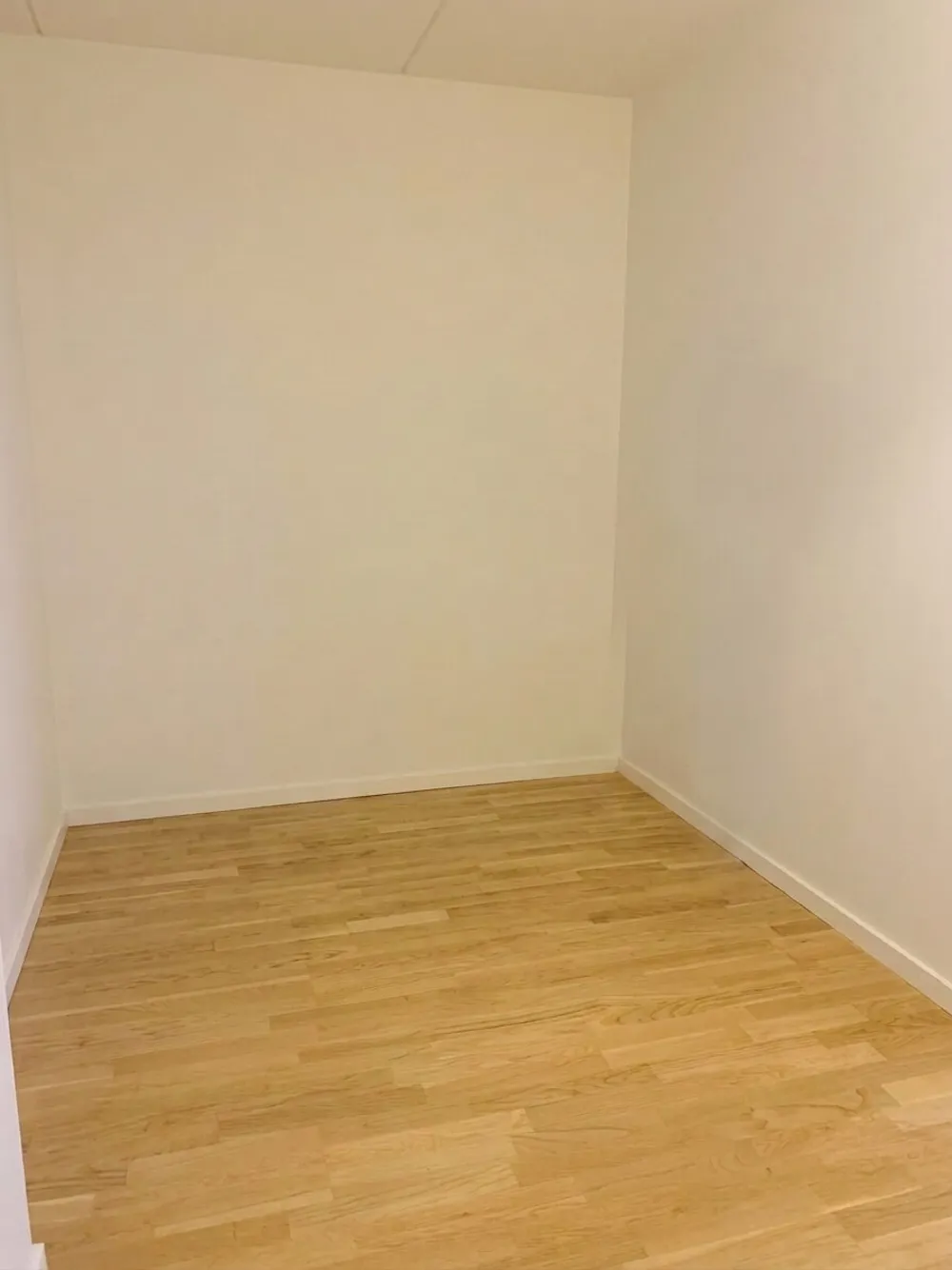 Lejemål billede