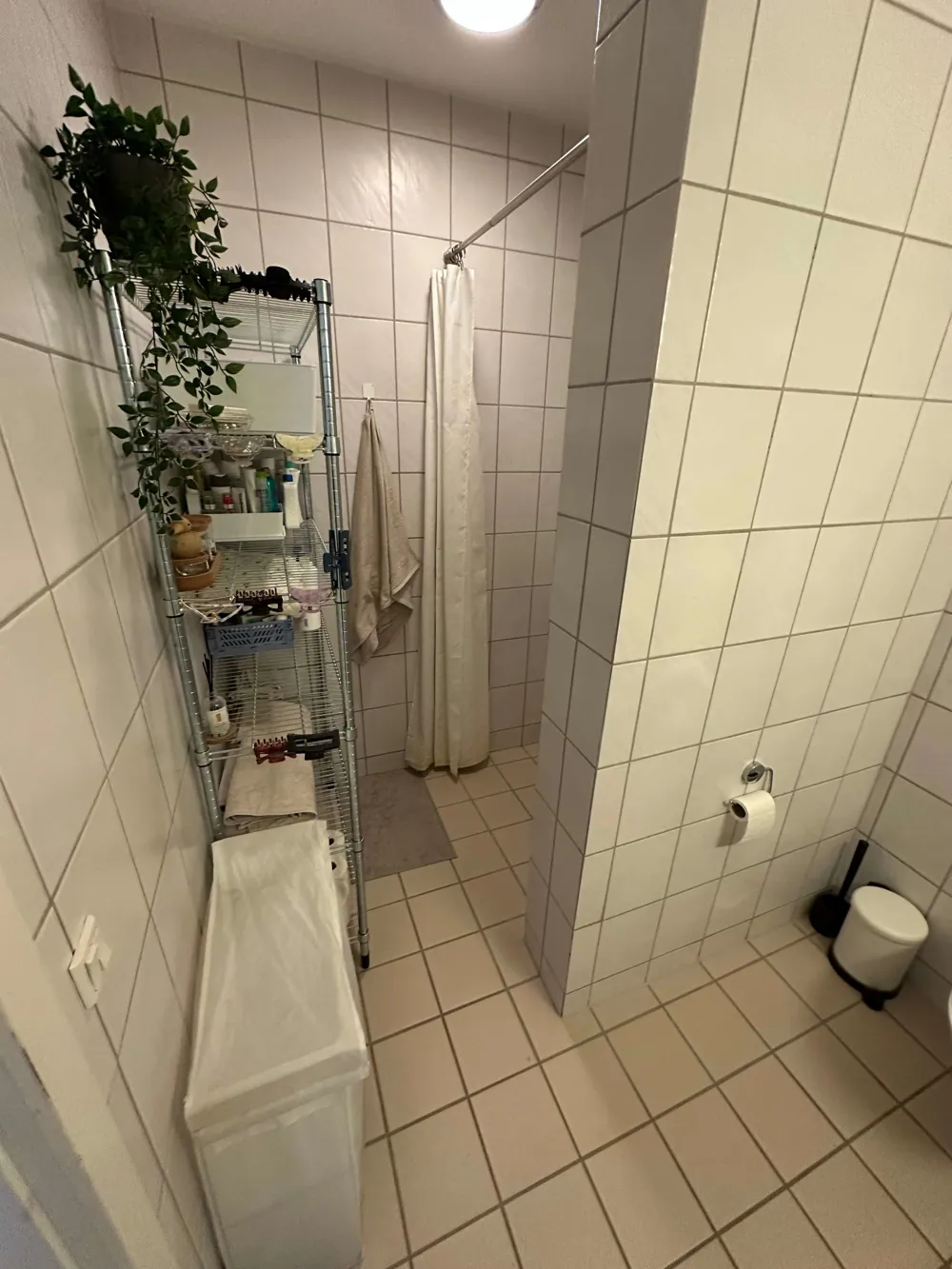 Lejemål billede